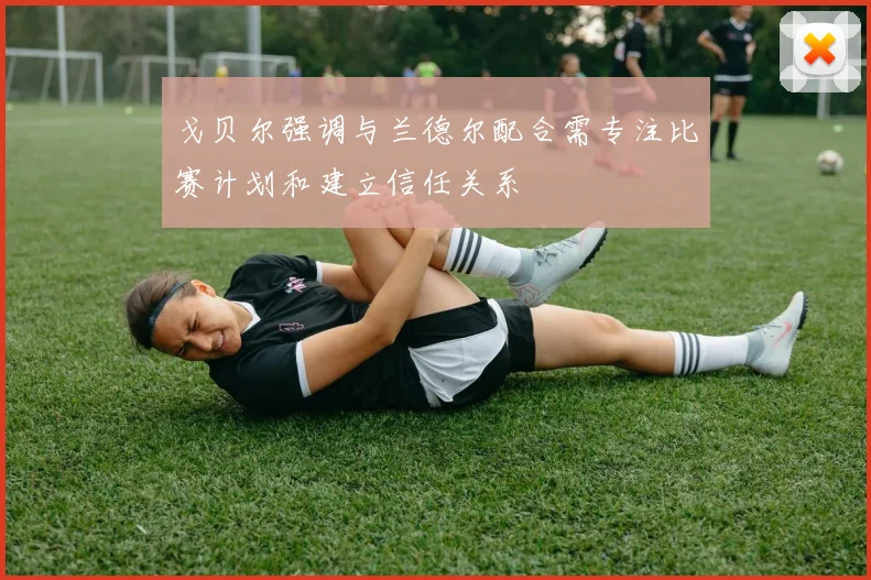 戈贝尔强调与兰德尔配合需专注比赛计划和建立信任关系