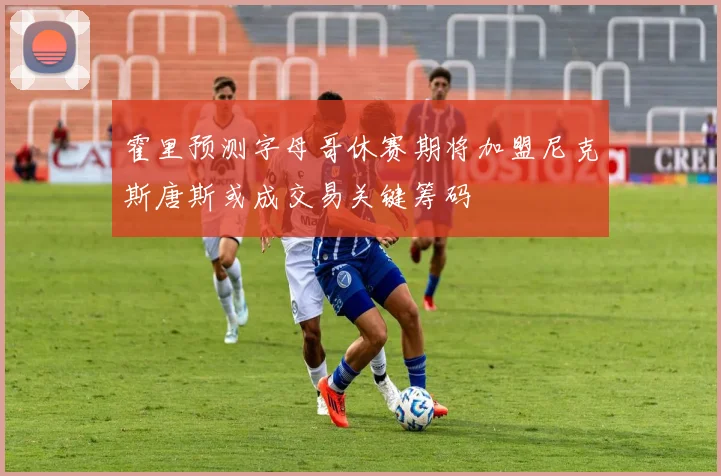 霍里预测字母哥休赛期将加盟尼克斯唐斯或成交易关键筹码